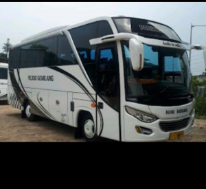 Bus wisata Iin Trans